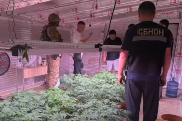 В Бишкеке под видом детского сада работала нарколаборатория